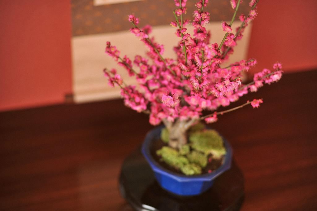 Onsen Hostel Hinoemi Atami  Δωμάτιο φωτογραφία